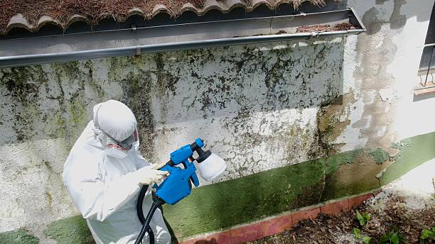 Trusted Mold Testing service in Atlanta, IL - Cheap Mold Removal